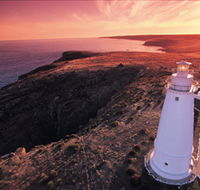 Lashmar Conservation Park - Hervey Bay Accommodation