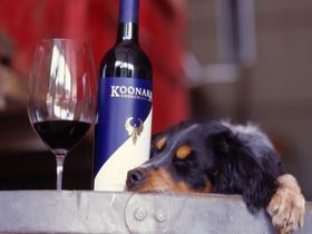 Koonara Wines - Hervey Bay Accommodation 0