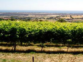  Tourism Hervey Bay