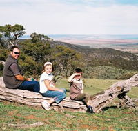 Bridle Track - Hervey Bay Accommodation