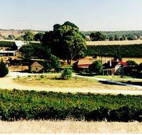 Irvine Wines - Hervey Bay Accommodation