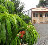 Gully Gardens - Hervey Bay Accommodation