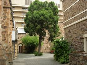 Flinders Street Baptist Church - Tourism Hervey Bay 0