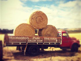 Moorooroo Park Vineyards - Hervey Bay Accommodation 0