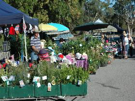 Meadows Monthly Market - Hervey Bay Accommodation 0