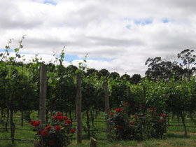  Hervey Bay Accommodation