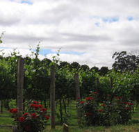Manyara Vineyard - Hervey Bay Accommodation