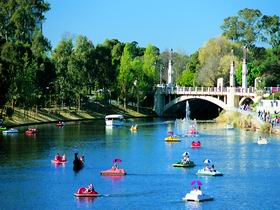 Captain Jolleys Paddle Boats - Hervey Bay Accommodation 0