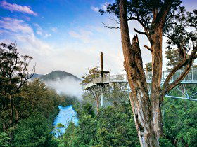 Desolation Bay TAS Hervey Bay Accommodation