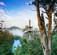 Tahune Adventures Tasmania - Hervey Bay Accommodation