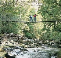 Arve Forest Drive - Hervey Bay Accommodation
