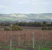 Mclaren Vale Premium Wines - Hervey Bay Accommodation