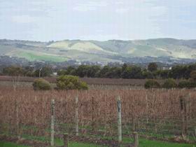 Mclaren Vale Premium Wines - Tourism Hervey Bay 0