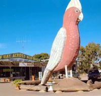 The Big Galah - Hervey Bay Accommodation