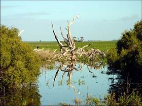  Hervey Bay Accommodation