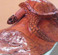 Ants Redgum Gallery - Hervey Bay Accommodation