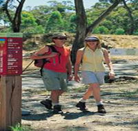 Riesling Trail - Hervey Bay Accommodation