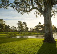 Serafino Wines - Hervey Bay Accommodation