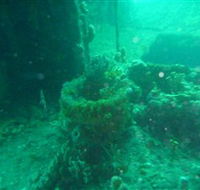 Wallaroo Scuba Club - Hervey Bay Accommodation