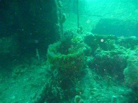 Wallaroo Scuba Club - Hervey Bay Accommodation 0