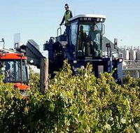 Ballast Stone Estate Wines Pty Ltd - Hervey Bay Accommodation