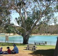Naracoorte Nature Park and Swimming Lake - Hervey Bay Accommodation