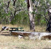 Penola Conservation Park - Hervey Bay Accommodation