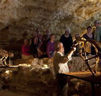 Naracoorte Caves National Park - Hervey Bay Accommodation