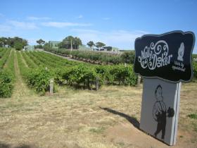 Mollydooker Wines - Tourism Hervey Bay 0