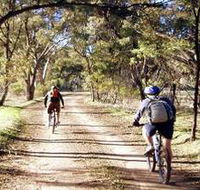Bike About Mountain Bike Tours And Hire - Hervey Bay Accommodation