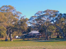 Old Wilpena Station - Hervey Bay Accommodation 0