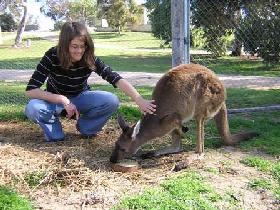 Brimbago SA Hervey Bay Accommodation