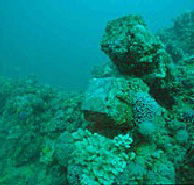 Adelaide's Underwater Heritage Trail - Hervey Bay Accommodation