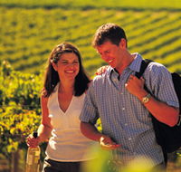 Lady Bay Vineyard - Hervey Bay Accommodation