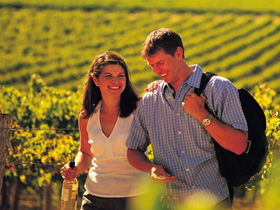 Lady Bay Vineyard - Tourism Hervey Bay 0