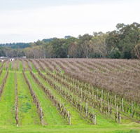 Dennis Wines - Hervey Bay Accommodation