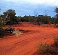 Tallaringa Conservation Park - Hervey Bay Accommodation