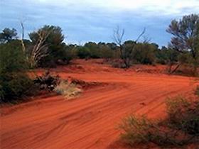 Tallaringa Conservation Park - Tourism Hervey Bay 0