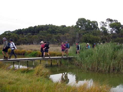 Lavender Federation Trail - Hervey Bay Accommodation 1