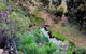 Lavender Federation Trail - thumb 3