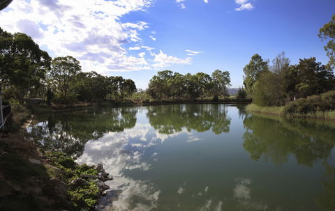 Maggie Beer's Farm Shop - Tourism Hervey Bay 6