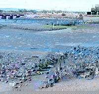 Jervois Basin Ships' Graveyard - Hervey Bay Accommodation