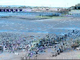 Jervois Basin Ships' Graveyard - Hervey Bay Accommodation 0