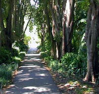 Adelaide Botanic Garden - Hervey Bay Accommodation