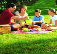 Bruny Island Berry Farm - Hervey Bay Accommodation