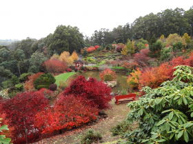 Emu Valley Rhododendron Garden - Hervey Bay Accommodation 0