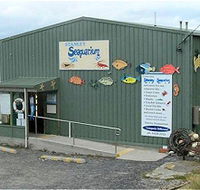Stanley Seaquarium - Tourism Hervey Bay