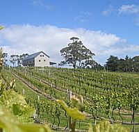 Bruny Island Premium Wines Bar and Grill - Hervey Bay Accommodation