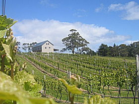 Bruny Island Premium Wines Bar And Grill - Tourism Hervey Bay 0