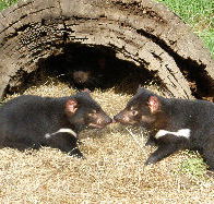 Wing's Wildlife Park